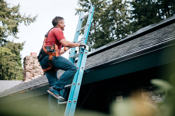 Best Roof Moss and Algae Removal  in Moreno Valley, CA